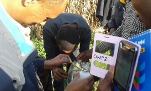 Ethiopia: water quality testing in Sheno, Oromia