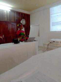 Presenting during the workshop in Banfora